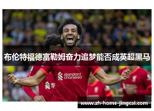 布伦特福德富勒姆奋力追梦能否成英超黑马